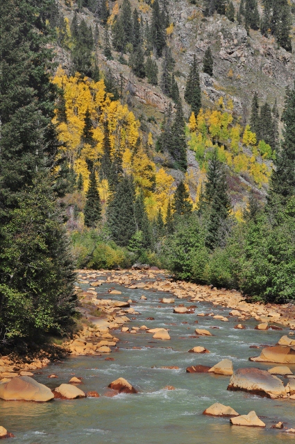 the scenery along the Animas River